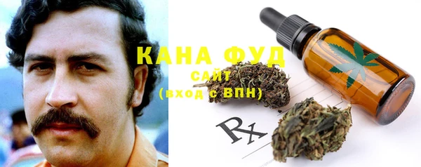 мдпв Богданович