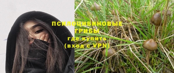 мдпв Богданович