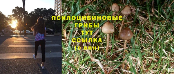 а пвп мука Богородицк